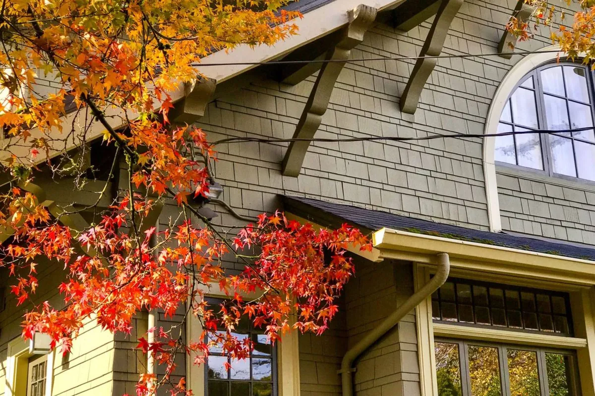 Taken from outside, this image features the home's distinctive architectural details, large windows, and colorful autumn leaves. The view highlights both the exterior charm and the seasonal beauty, showcasing an iconic, eye-catching backdrop ideal for photos and first impressions.